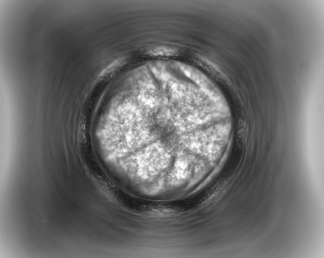 X0000085750547200704091318