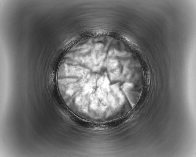 X0000085750550200704091318