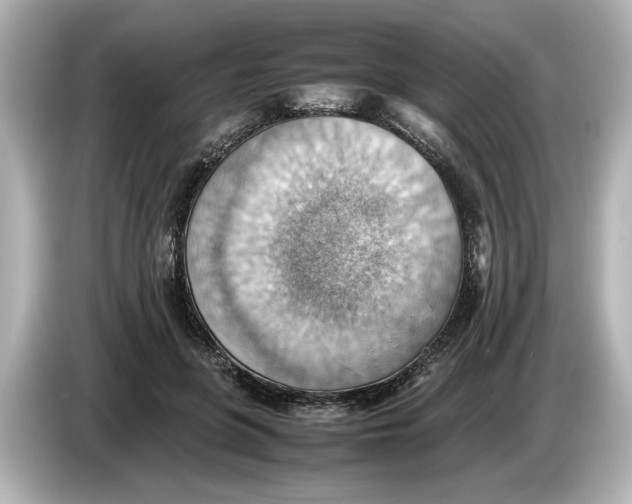 X0000085750551200704091318