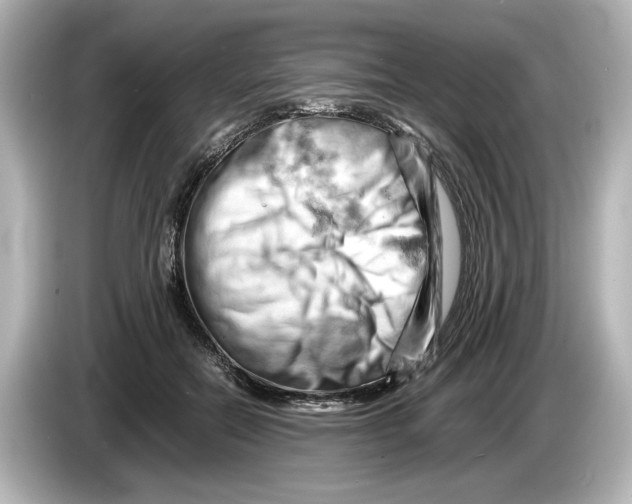 X0000085750554200704091318