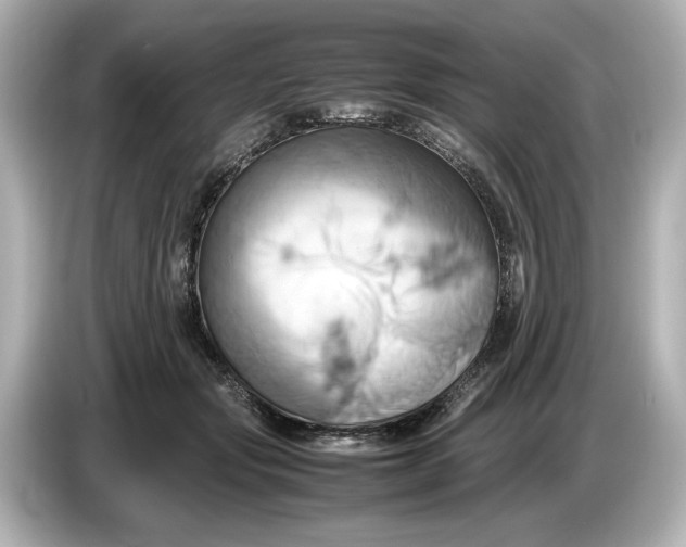 X0000085750557200704091318