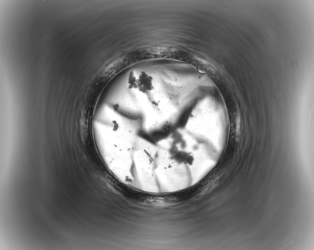 X0000085750558200704091318