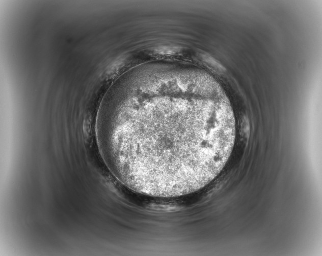 X0000085750559200704091318