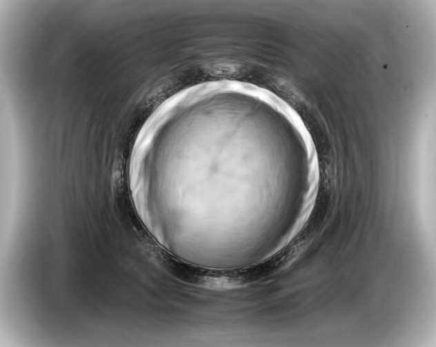 X0000085750561200704091318