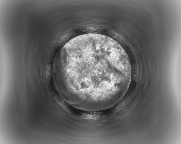 X0000085750563200704091318