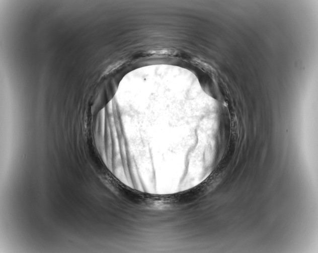 X0000085750564200704091318