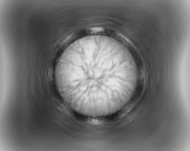 X0000085750565200704091318