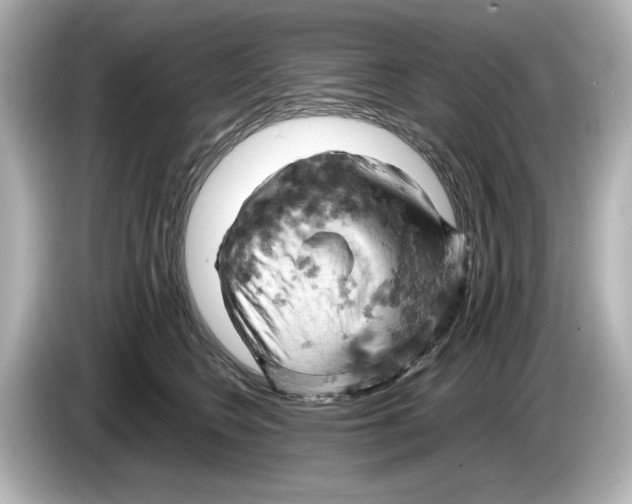 X0000085750566200704091318