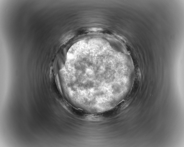 X0000085750568200704091318