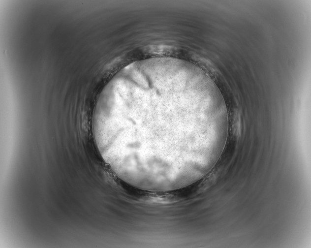 X0000085750569200704091318