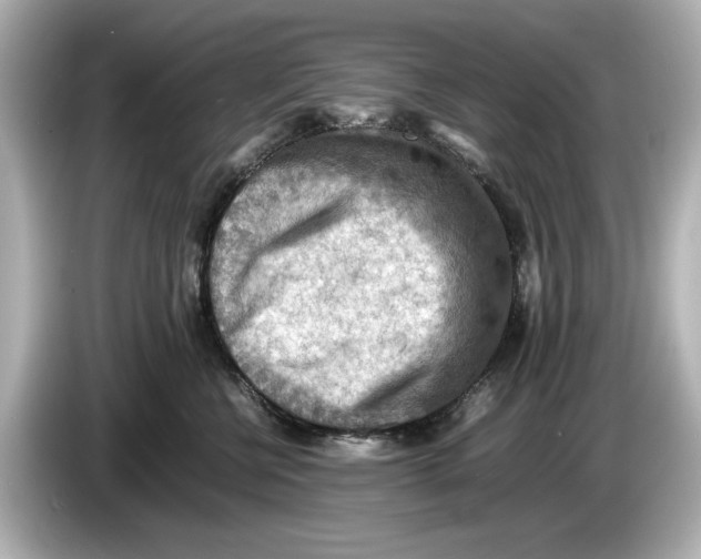 X0000085750570200704091318