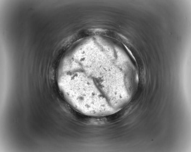 X0000085750571200704091318