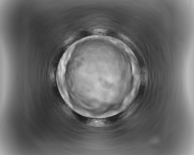 X0000085750573200704091318