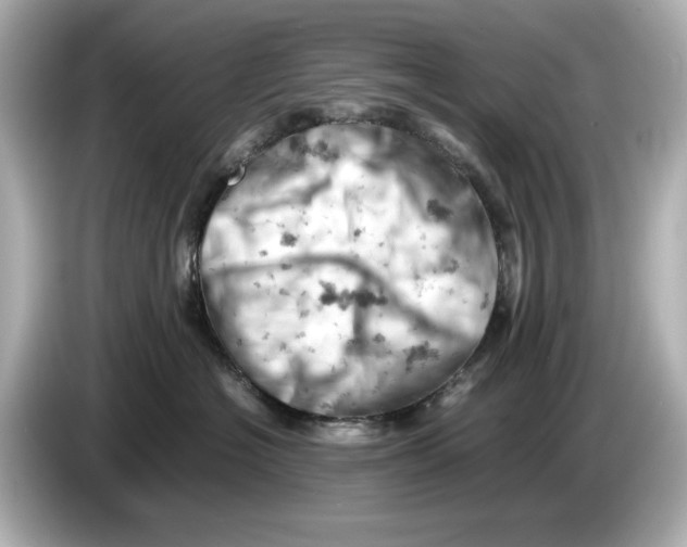 X0000085750574200704091318