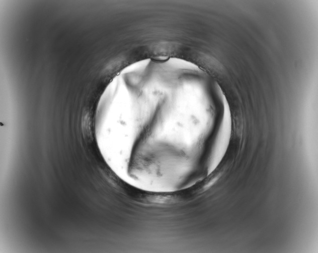 X0000085750575200704091318