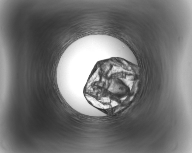 X0000085750576200704091318