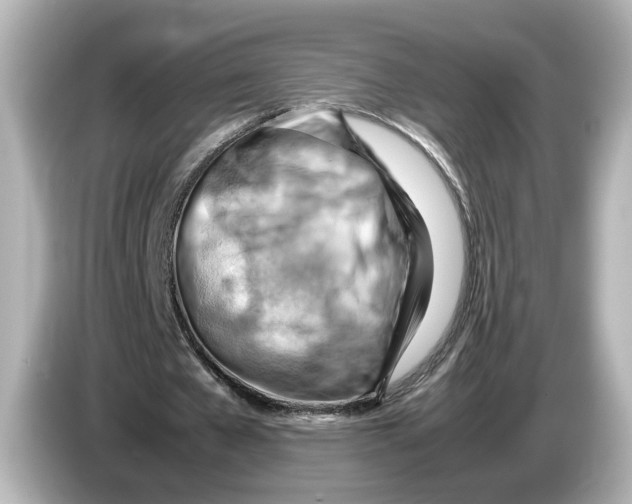 X0000085750577200704091317