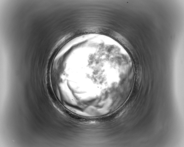 X0000085750578200704091317