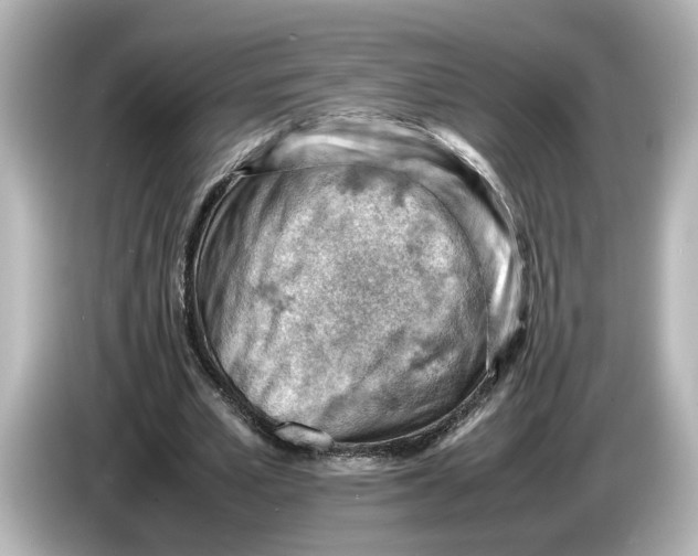 X0000085750581200704091317