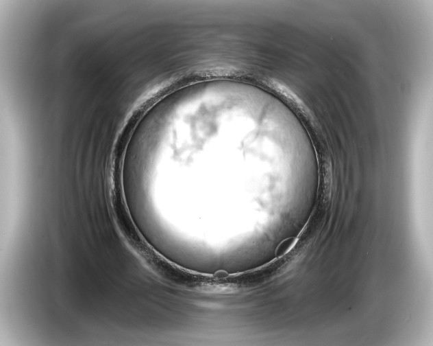 X0000085750582200704091317