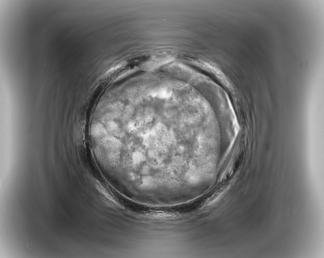 X0000085750585200704091317