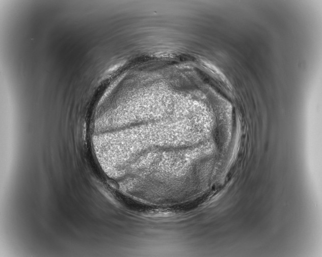 X0000085750589200704091317