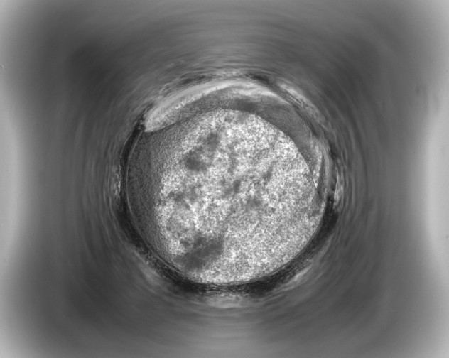 X0000085750593200704091317