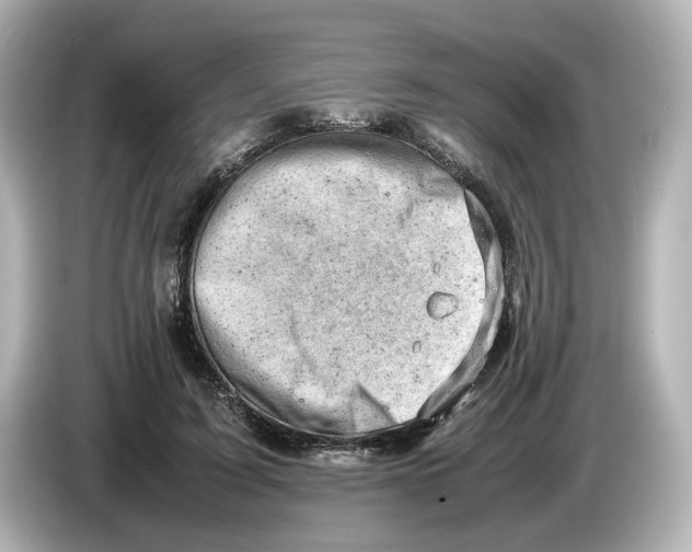 X0000085750595200704091317