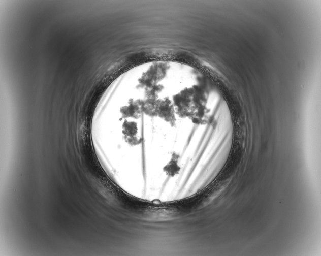 X0000085750597200704091317