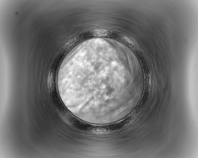 X0000085750598200704091317