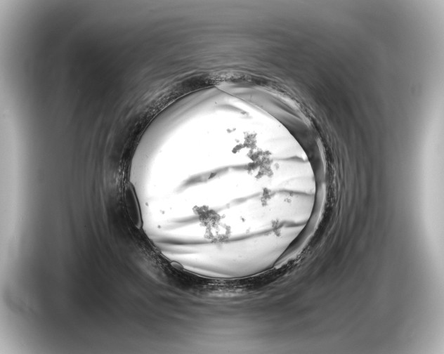 X0000085750601200704091317