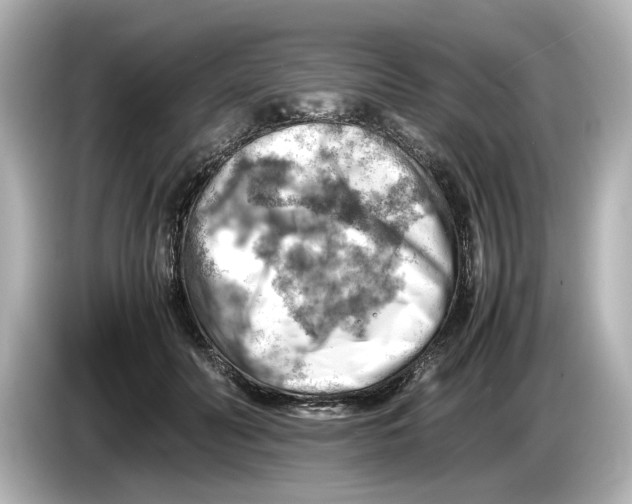 X0000085750606200704091317