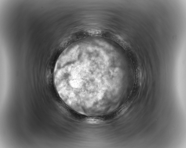 X0000085750614200704091317