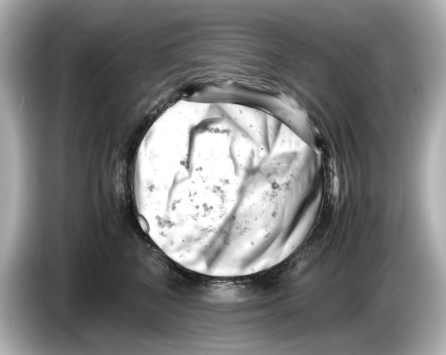 X0000085750616200704091317