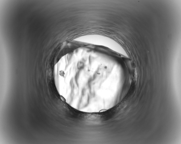 X0000085750617200704091317