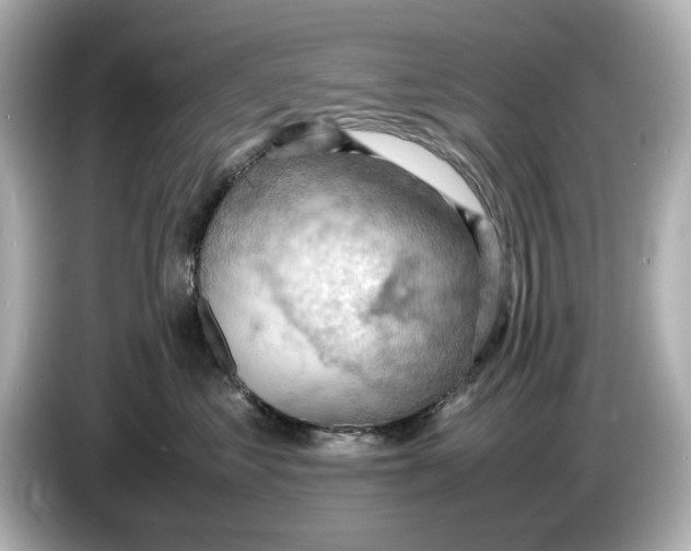 X0000085750621200704091317