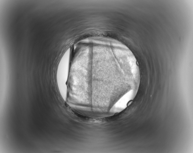 X0000085750624200704091317