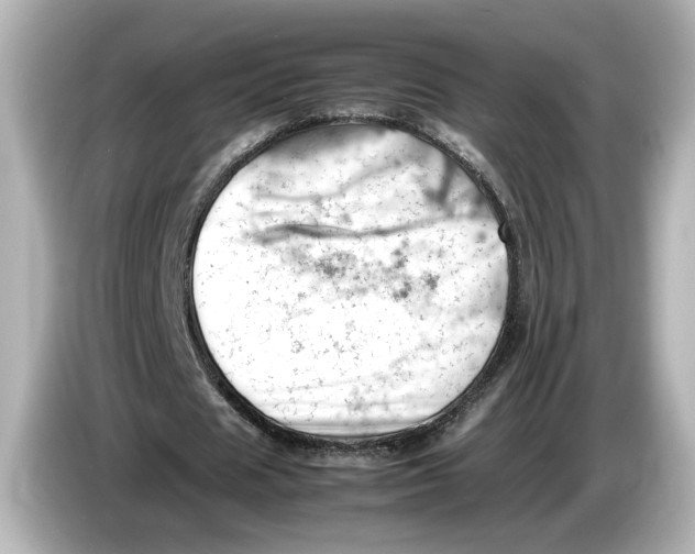 X0000085750625200704091316