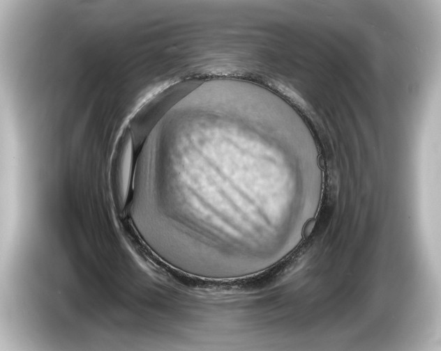 X0000085750626200704091316