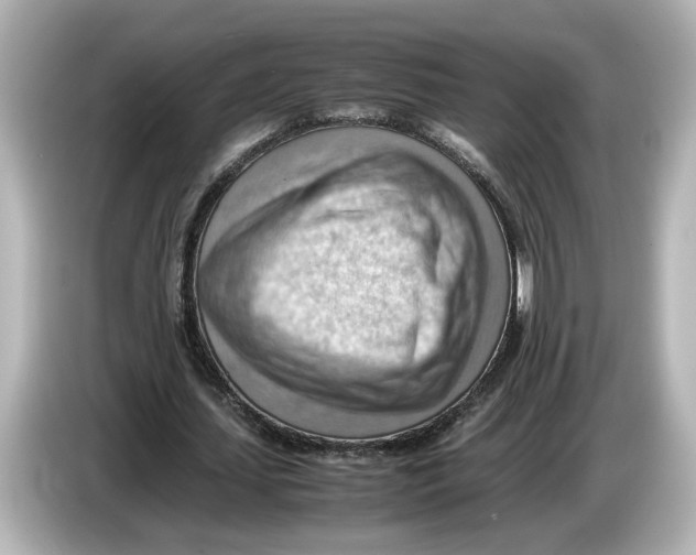 X0000085750627200704091316