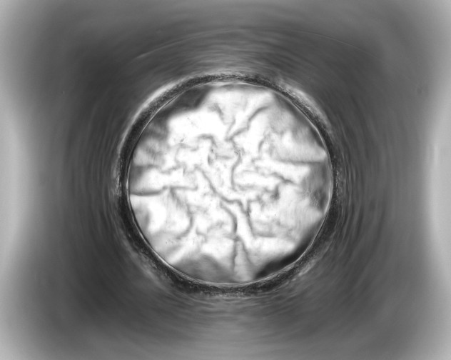 X0000085750628200704091316