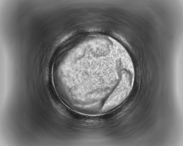 X0000085750631200704091316