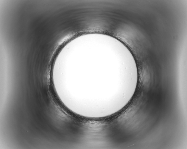 X0000085750632200704091316