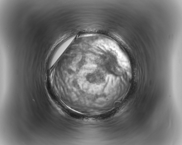 X0000085750634200704091316