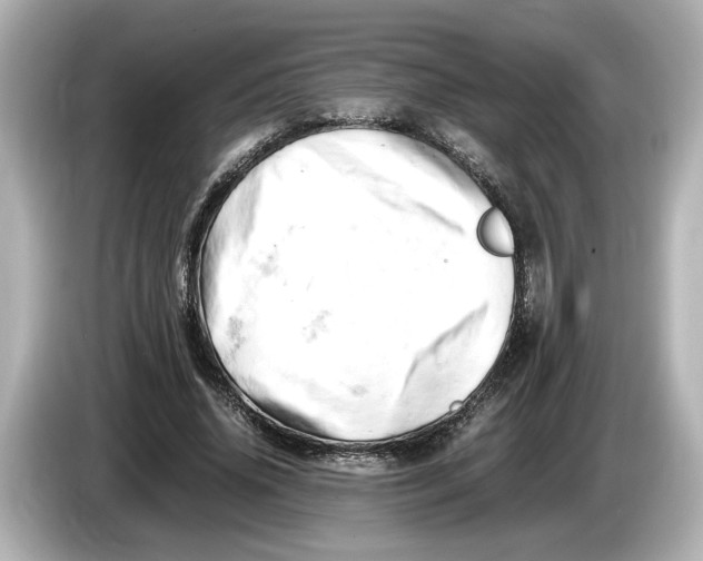 X0000085750636200704091316