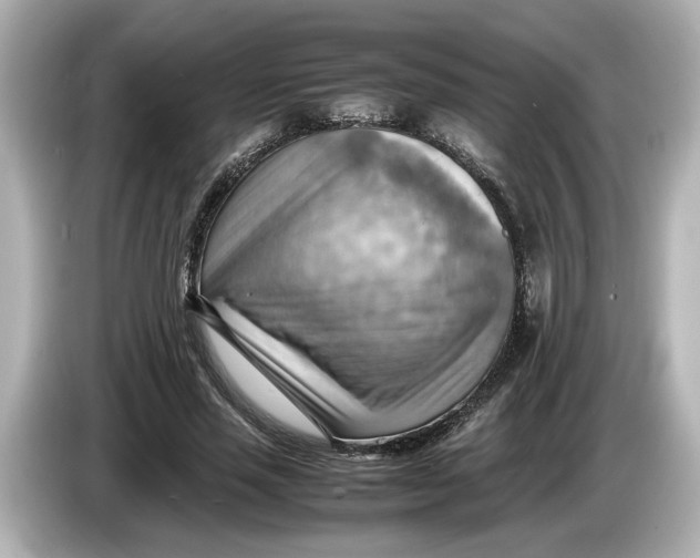 X0000085750637200704091316