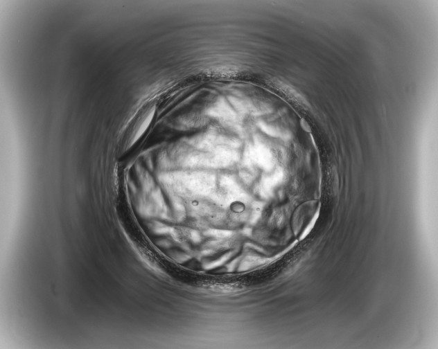 X0000085750638200704091316