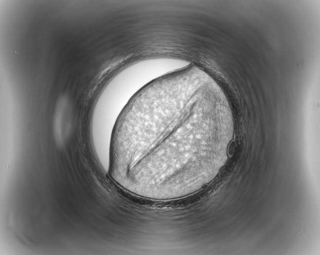 X0000085750640200704091316