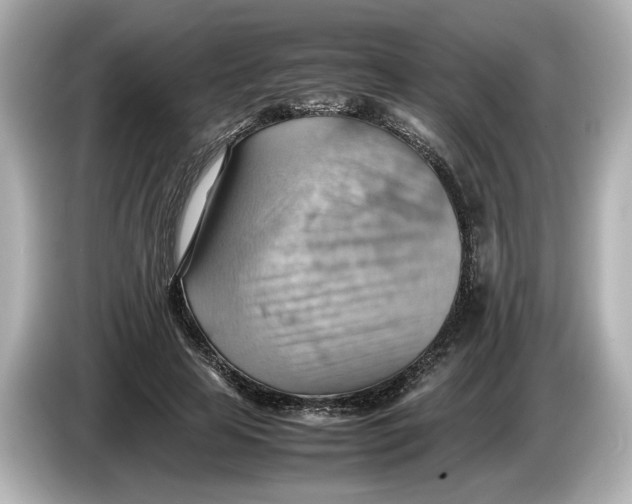 X0000085750641200704091316