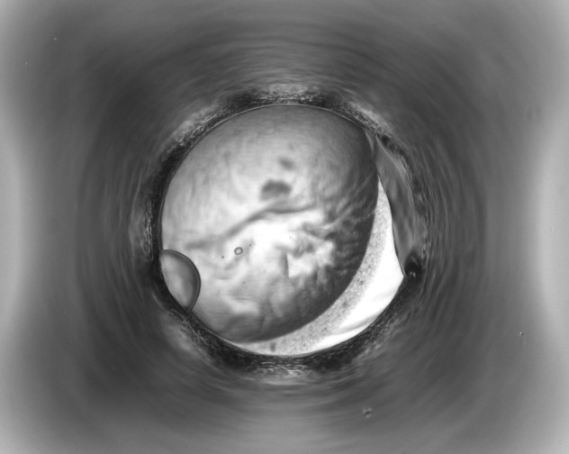 X0000085750642200704091317